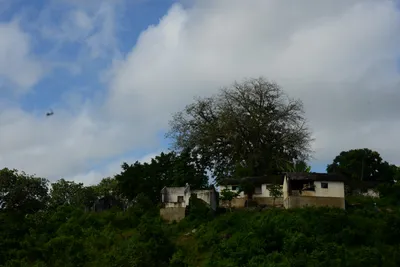 DSC_8041 (Large).JPG